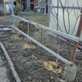 DreiHimbeerstraeucherGepflanzt 2026-02-26 16.22.